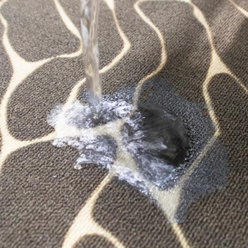 Alfombra de puerta con estampado de terciopelo circular, pantalla impermeable