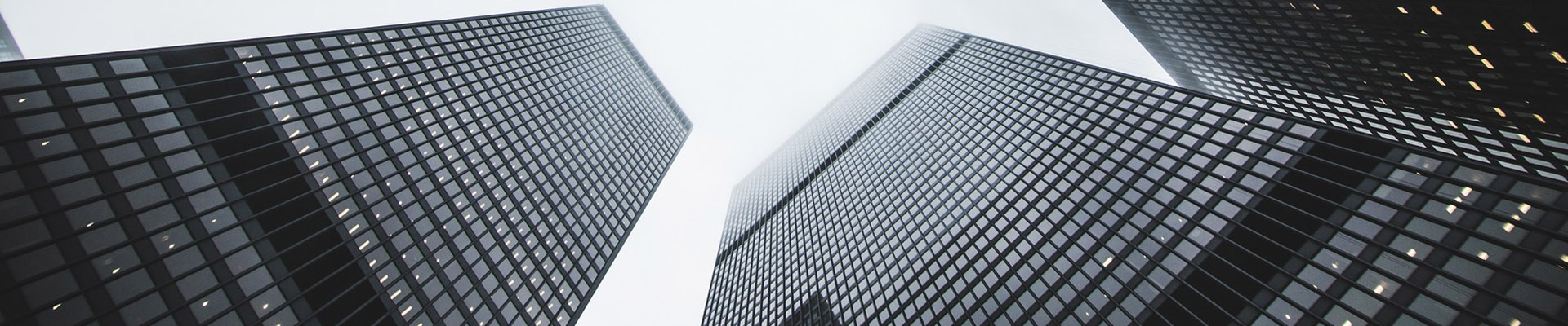 peldaños de la escalera de la alfombra