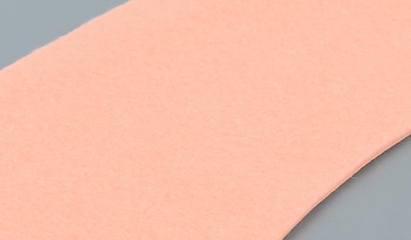 Primer plano del asiento del inodoro RATO