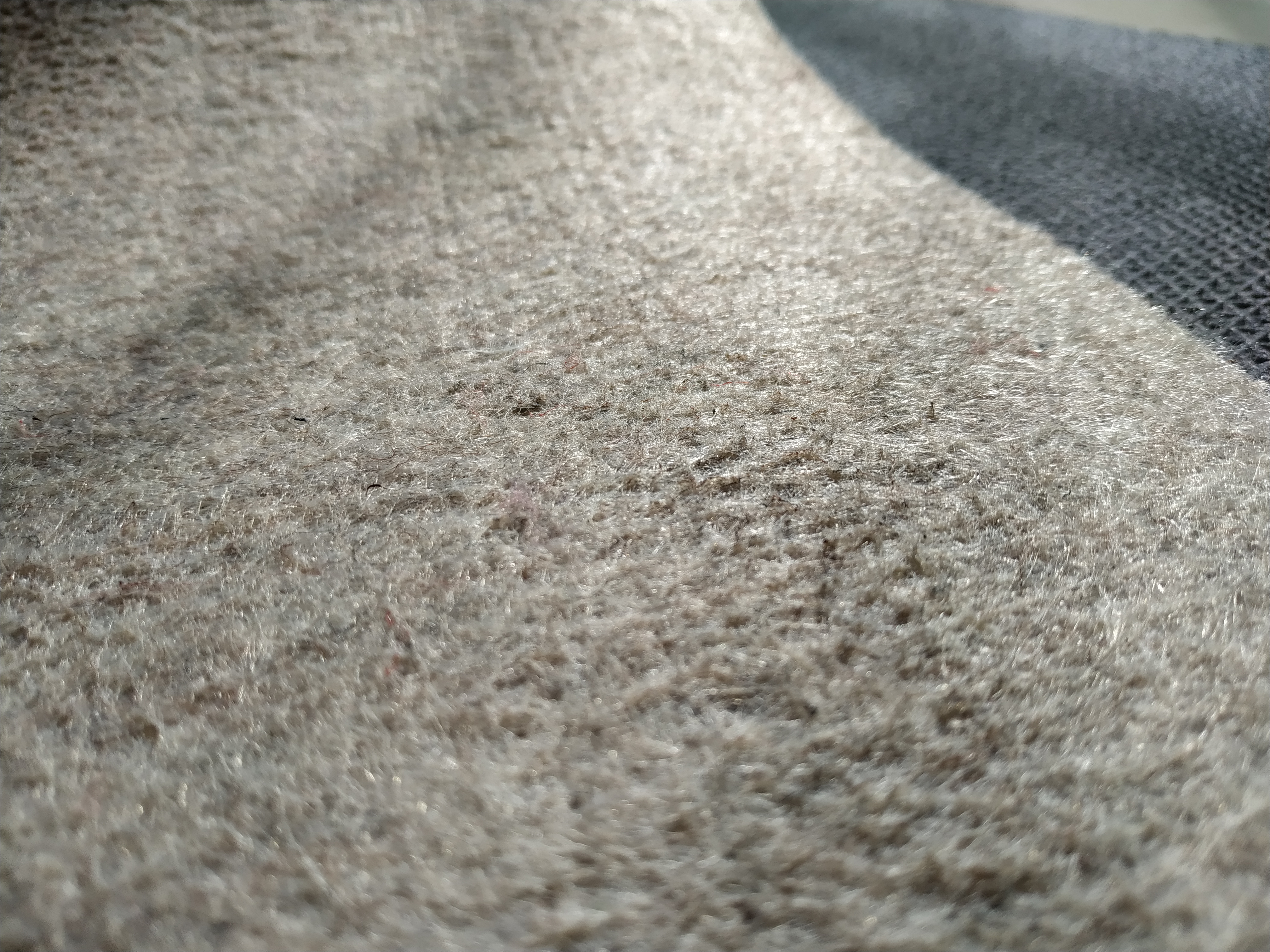 Almohadilla para alfombra de área de fieltro antideslizante, almohadilla de sujeción acolchada gruesa para pisos de madera dura debajo de la alfombra que protege los pisos, 1/4 'de espesor, 5 x 7 pies