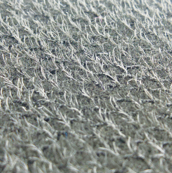 Respaldo de la pata de geckos