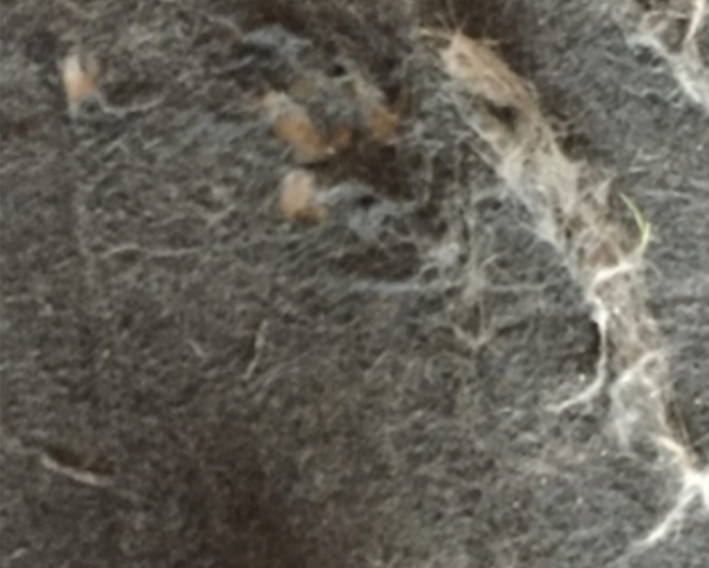 Superficie tradicional de la almohadilla de la silla